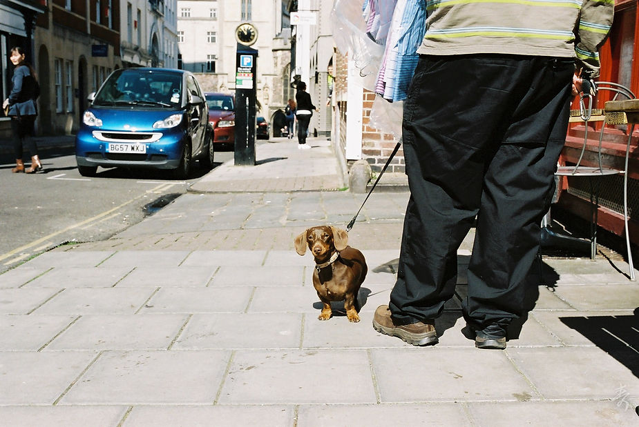 Back To The Kingdom - Image 11