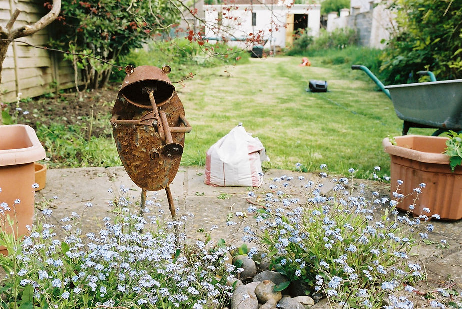 Back To The Kingdom - Image 21