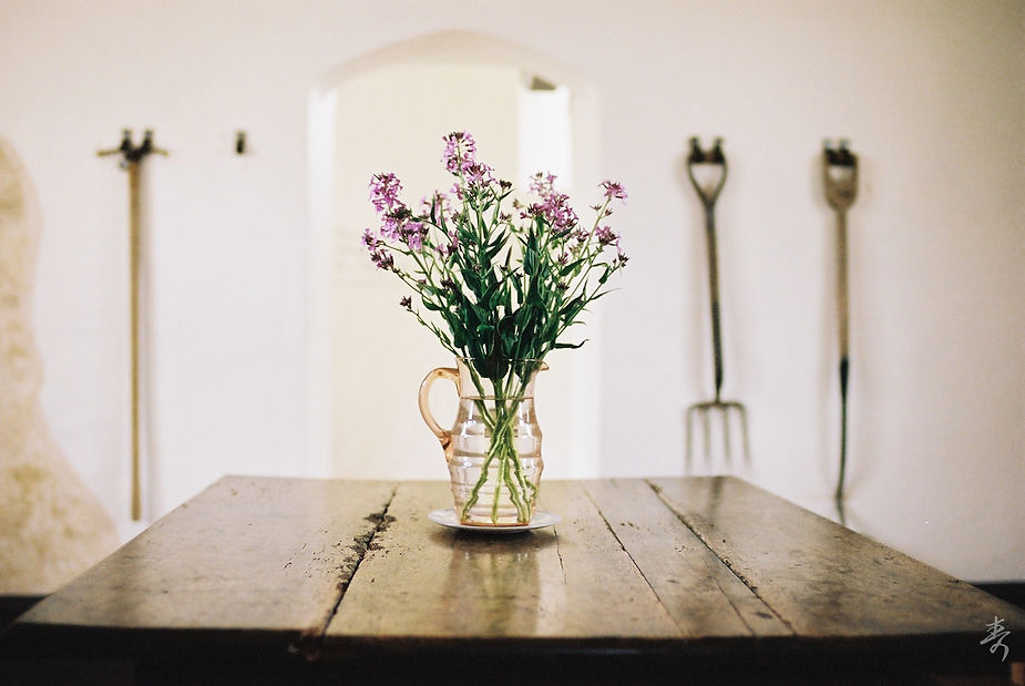 Back To The Kingdom - Image 24