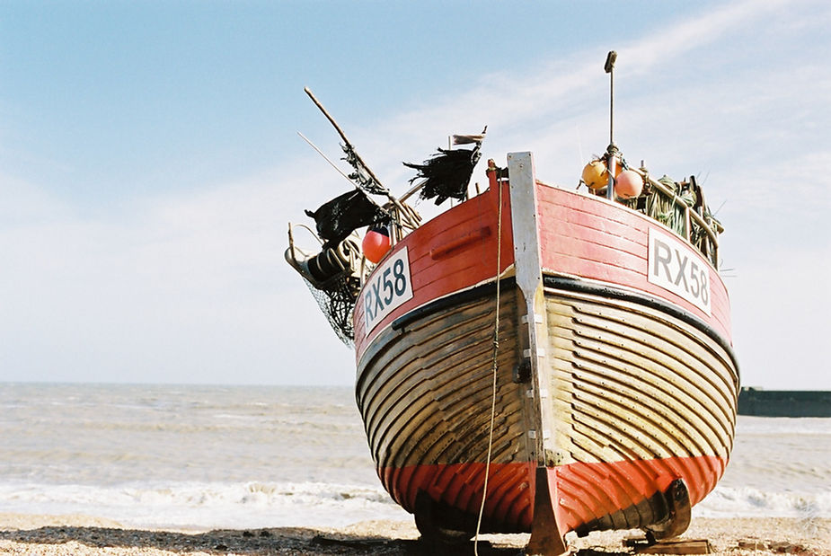 Back To The Kingdom - Image 31