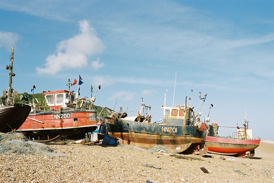 Back To The Kingdom - Image 32