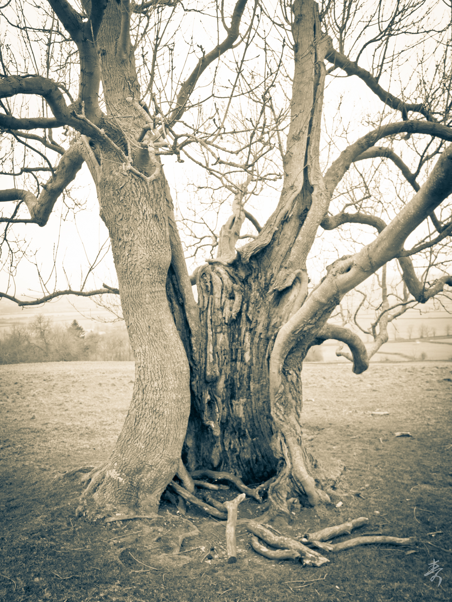 Back To The Kingdom - Image 70