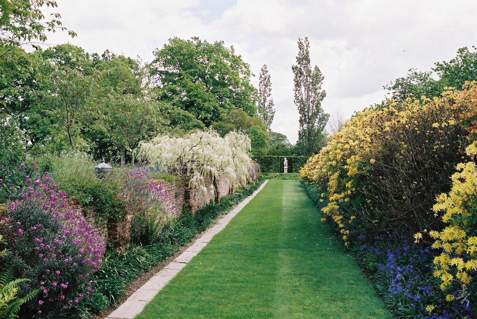 Back To The Kingdom - Image 75