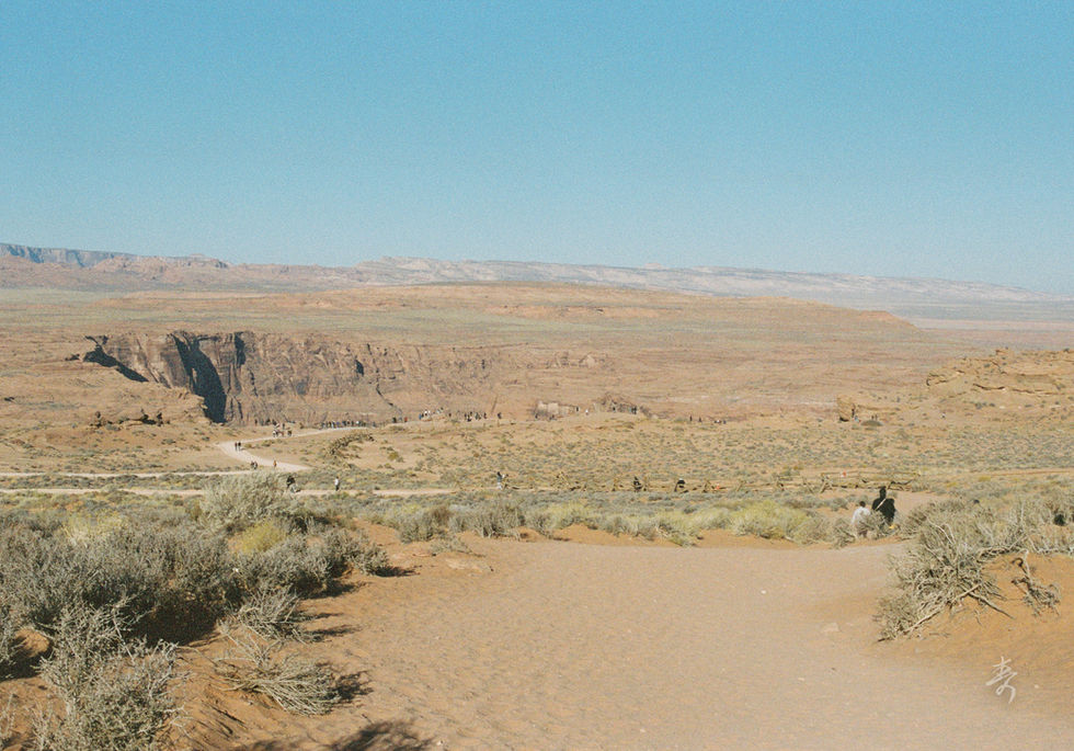 Converge2020 - Image 37