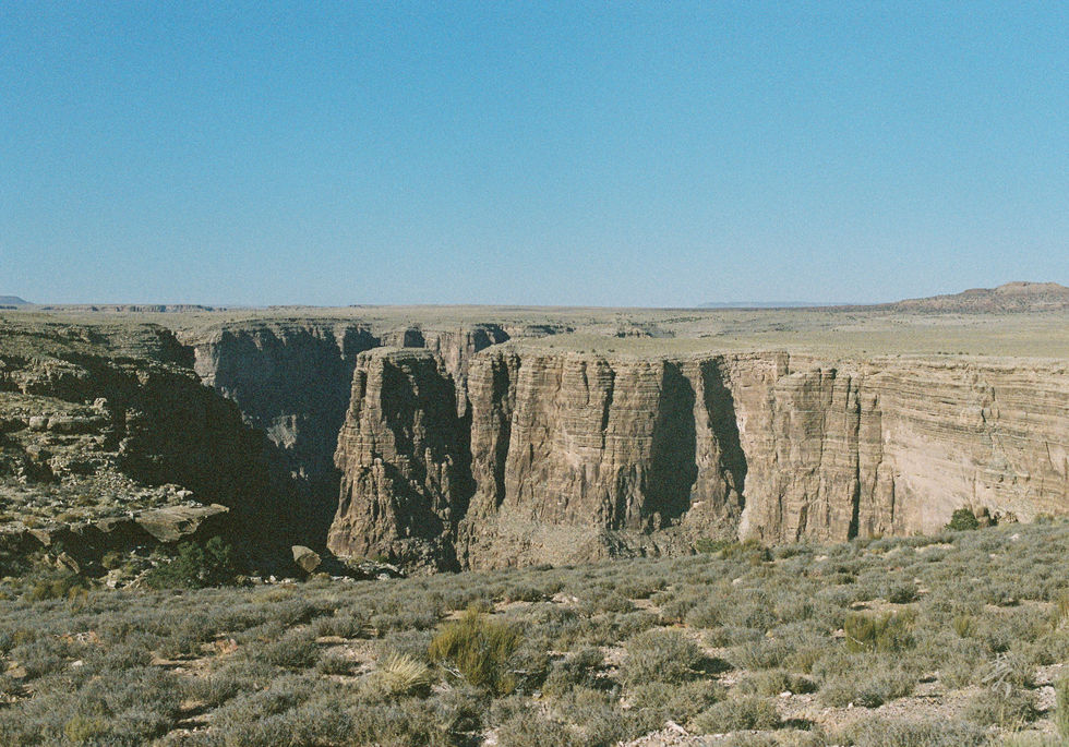 Converge2020 - Image 49