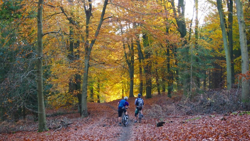 Dance With The Trails Depot - Image 4