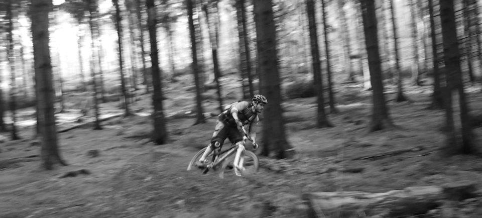 Dance With The Trails Depot - Image 6