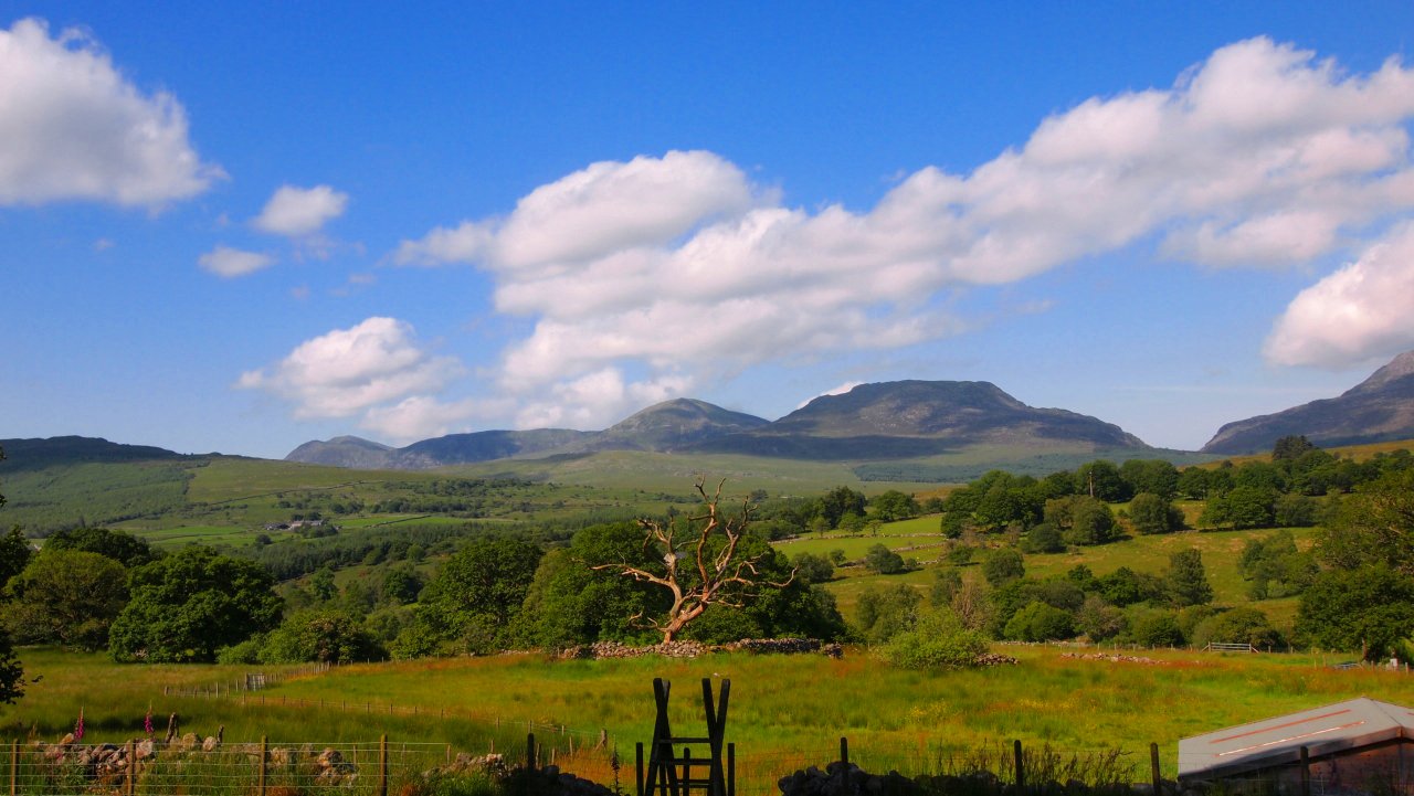 Dance With The Trails Depot - Image 9