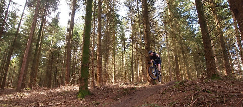 Dance With The Trails Depot - Image 29