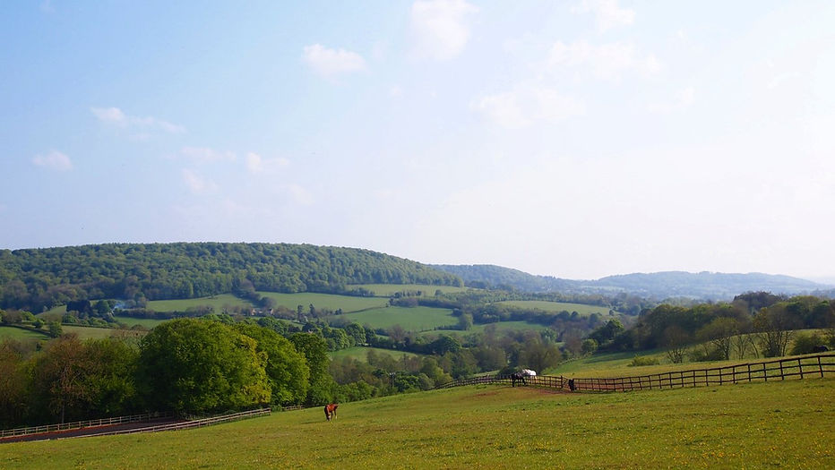 Dance With The Trails Depot - Image 30