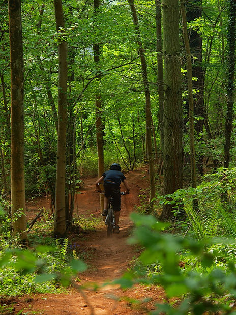 Dance With The Trails Depot - Image 32