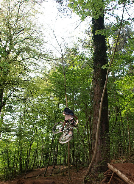 Dance With The Trails Depot - Image 35