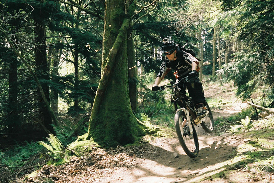 Dance With The Trails Depot - Image 36