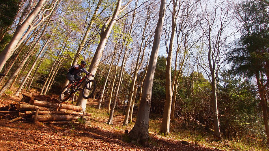 Dance With The Trails Depot - Image 38