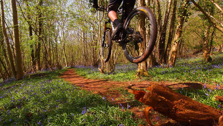 Dance With The Trails Depot - Image 42