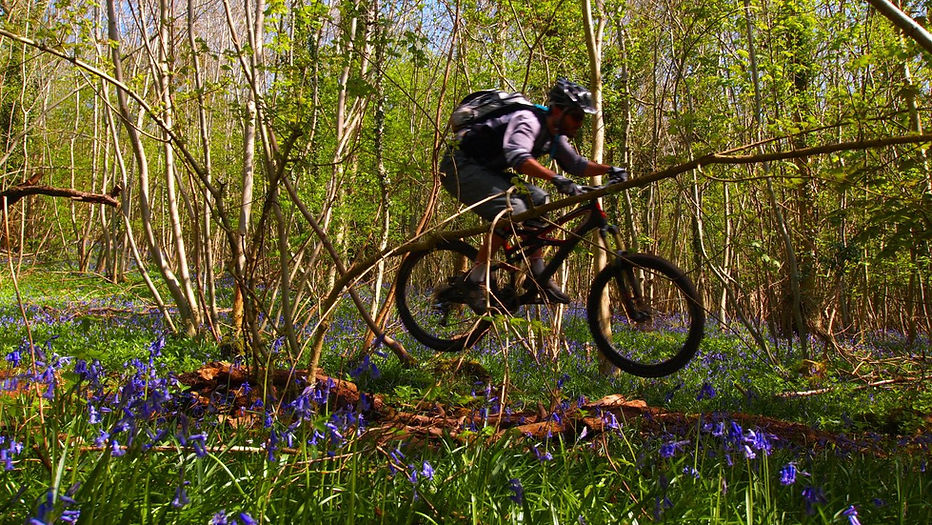 Dance With The Trails Depot - Image 43