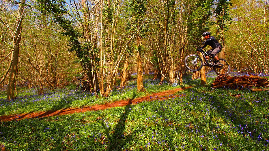 Dance With The Trails Depot - Image 45