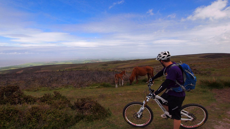 Dance With The Trails Depot - Image 46