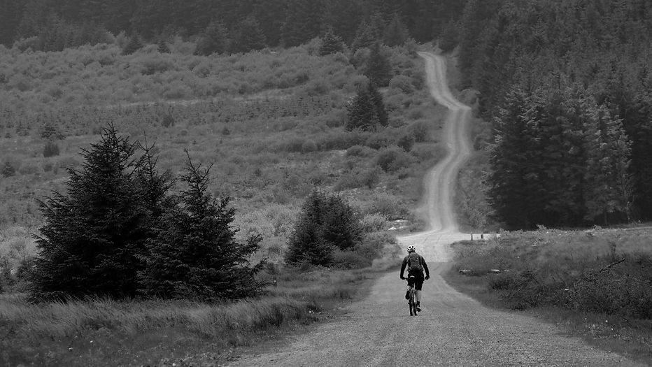 Dance With The Trails Depot - Image 55