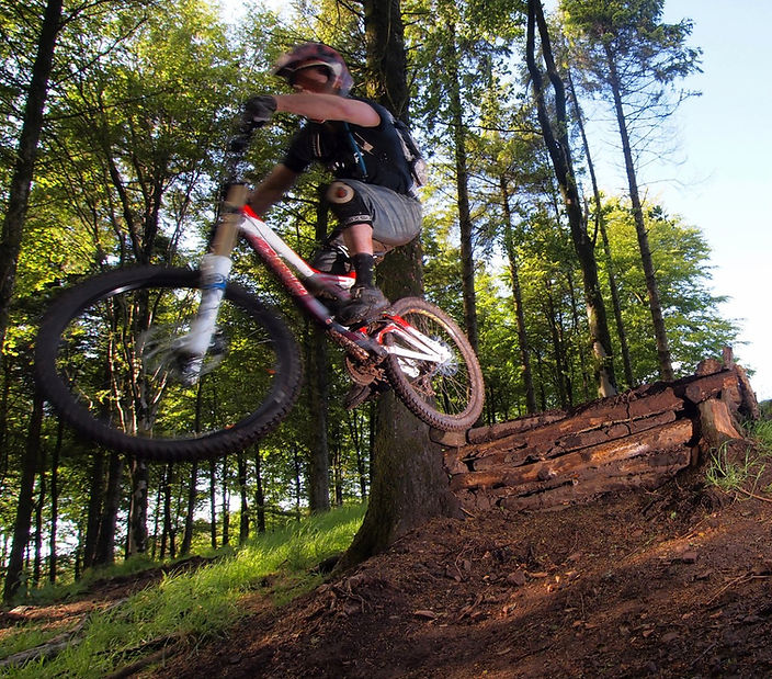 Dance With The Trails Depot - Image 56