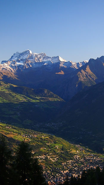 Dance With The Trails Depot - Image 71