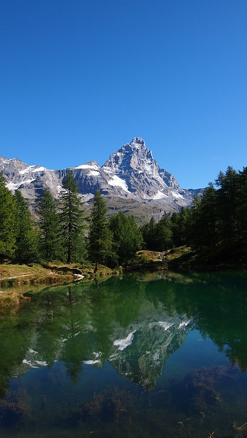 Dance With The Trails Depot - Image 73