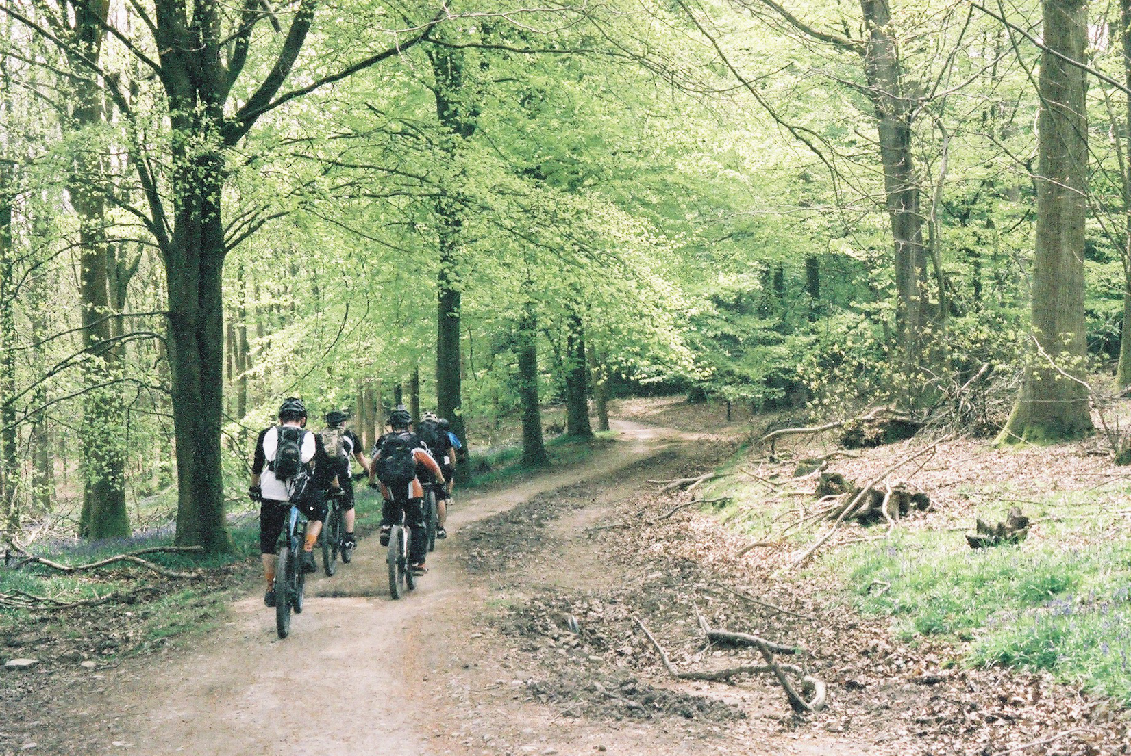 Dance With The Trails