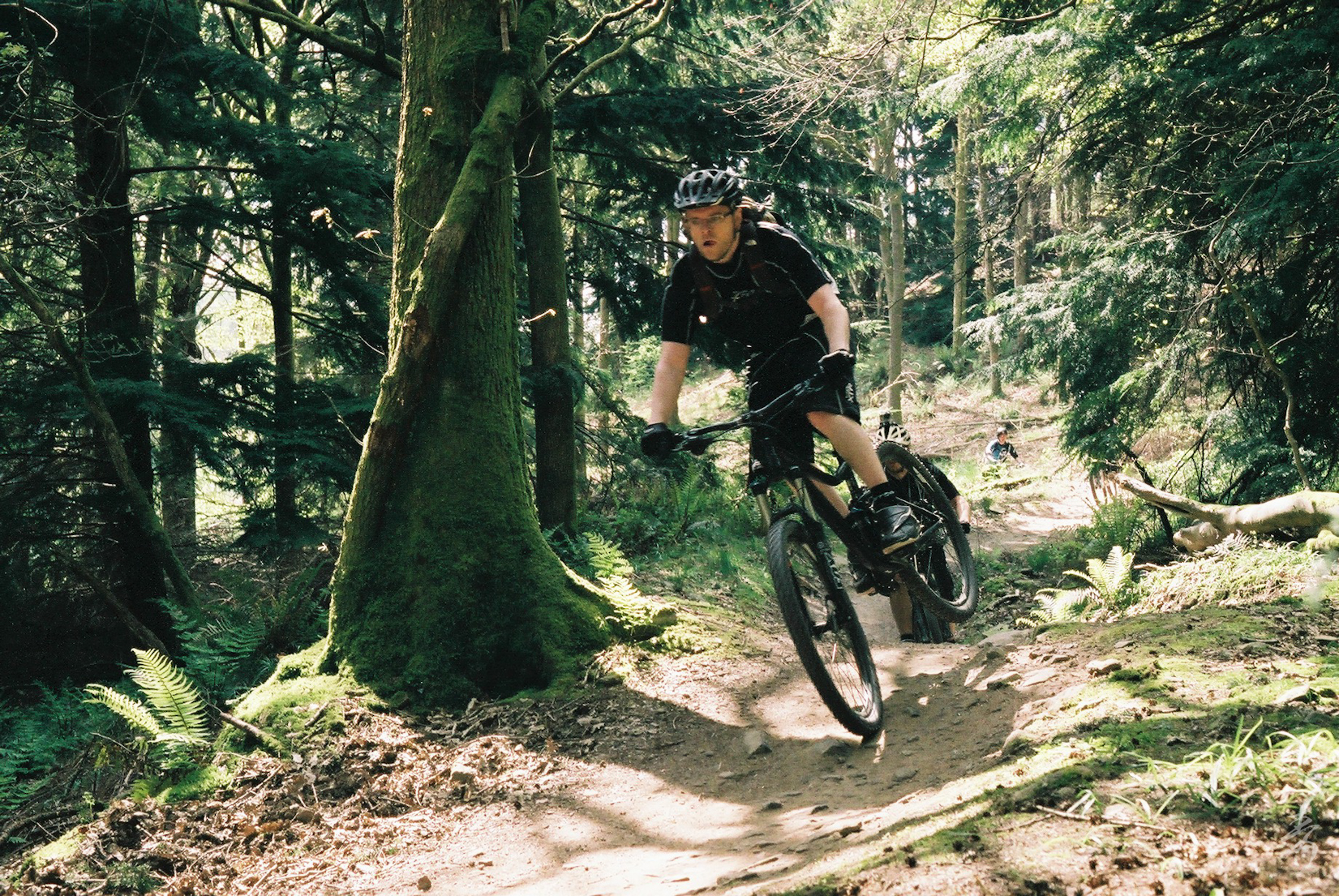 Dance With The Trails - Image 3