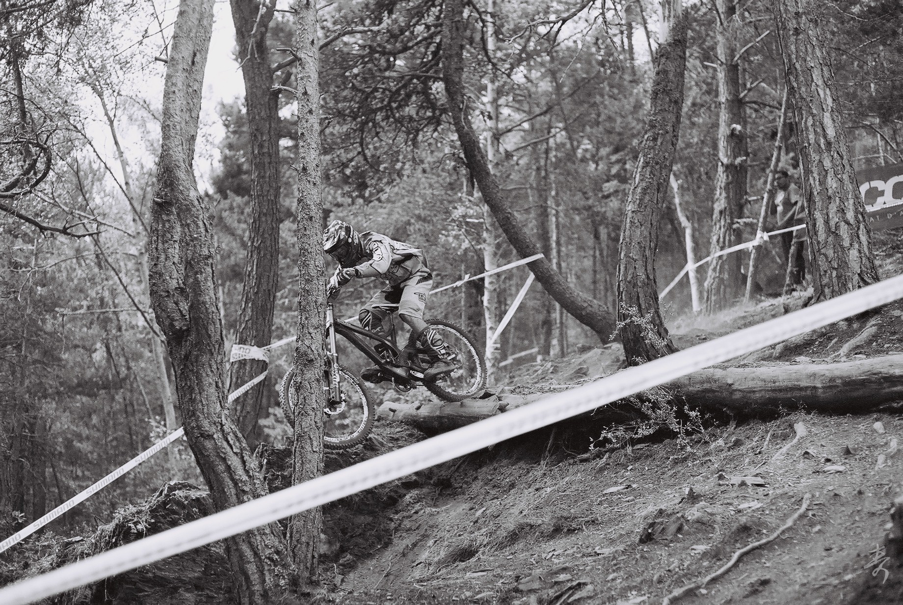 Dance With The Trails - Image 10