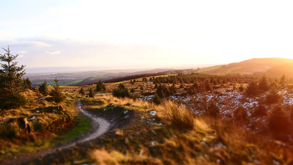 Dance With The Trails - Image 16