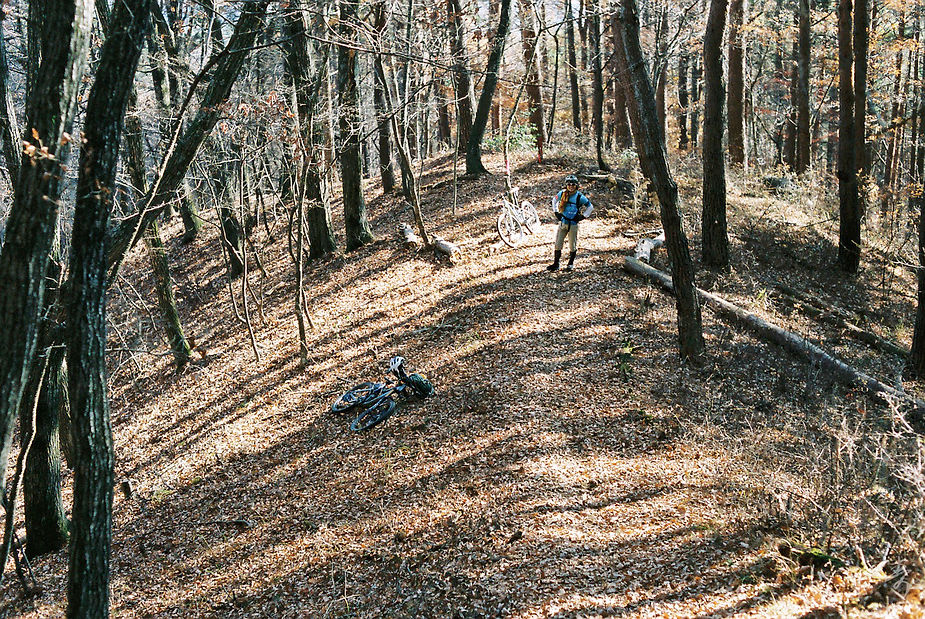 Dance With The Trails - Image 25