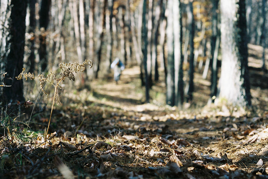 Dance With The Trails - Image 28