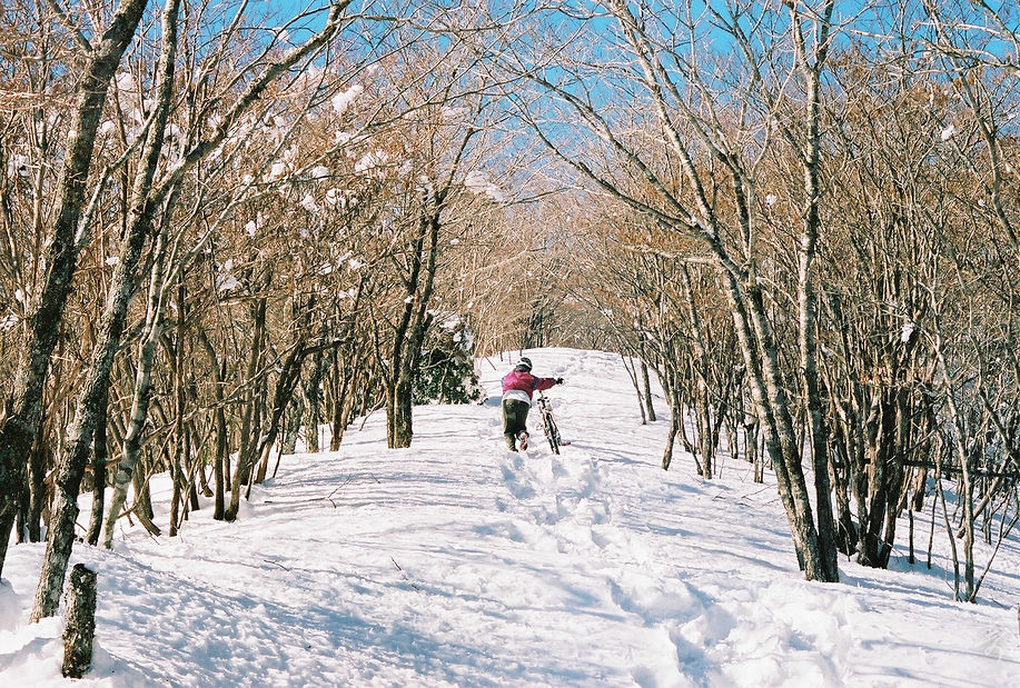 Dance With The Trails - Image 34