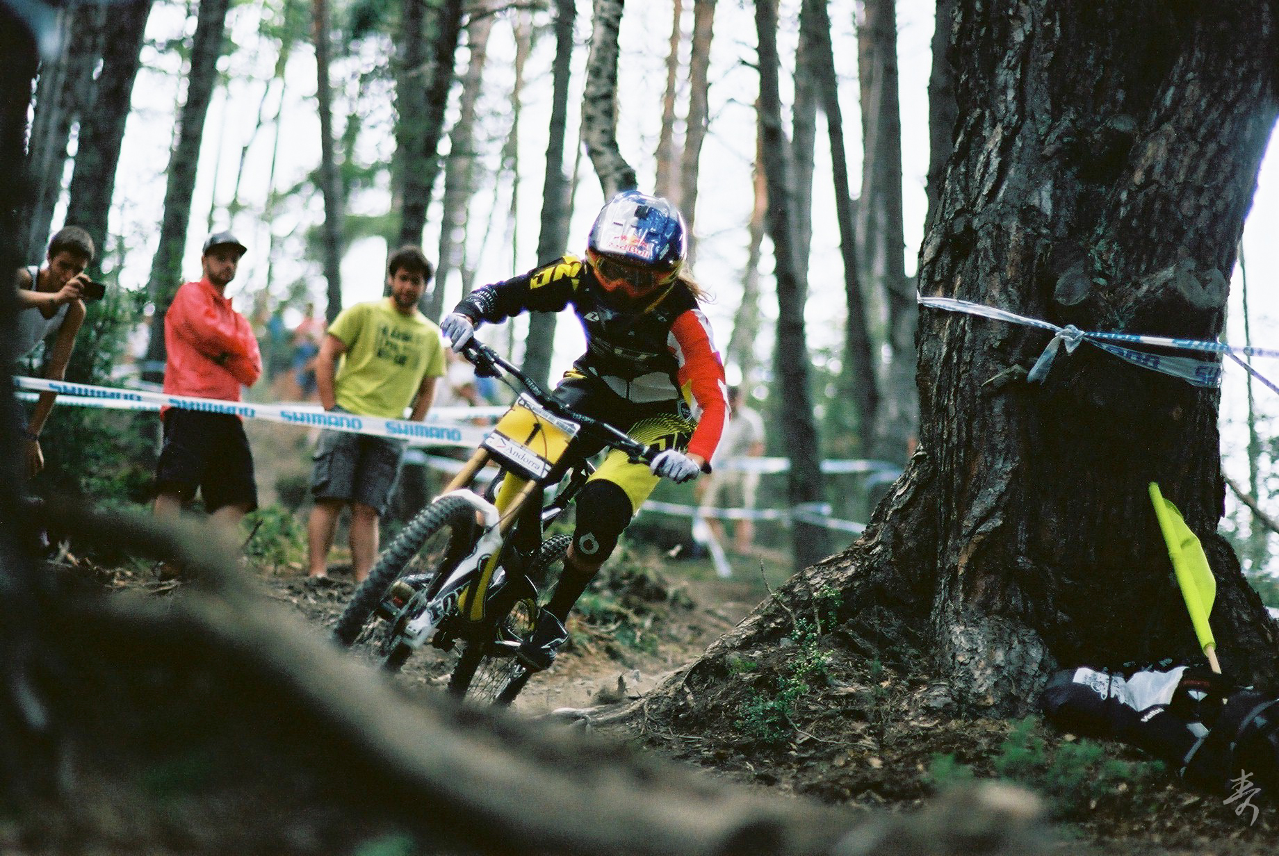 Dance With The Trails - Image 43