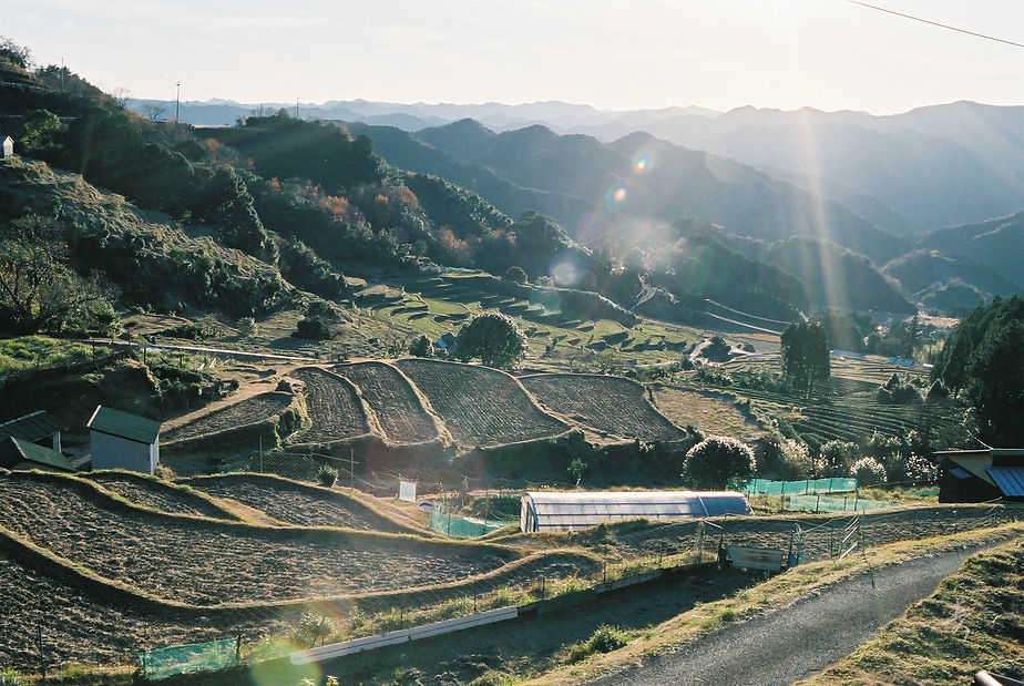 Scent Of Japan Kumano - Image 11
