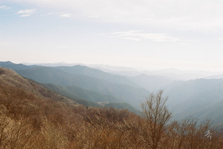 Scent Of Japan Kumano - Image 15