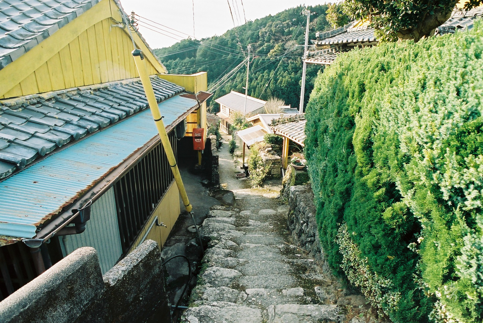 Scent Of Japan Kumano - Image 32