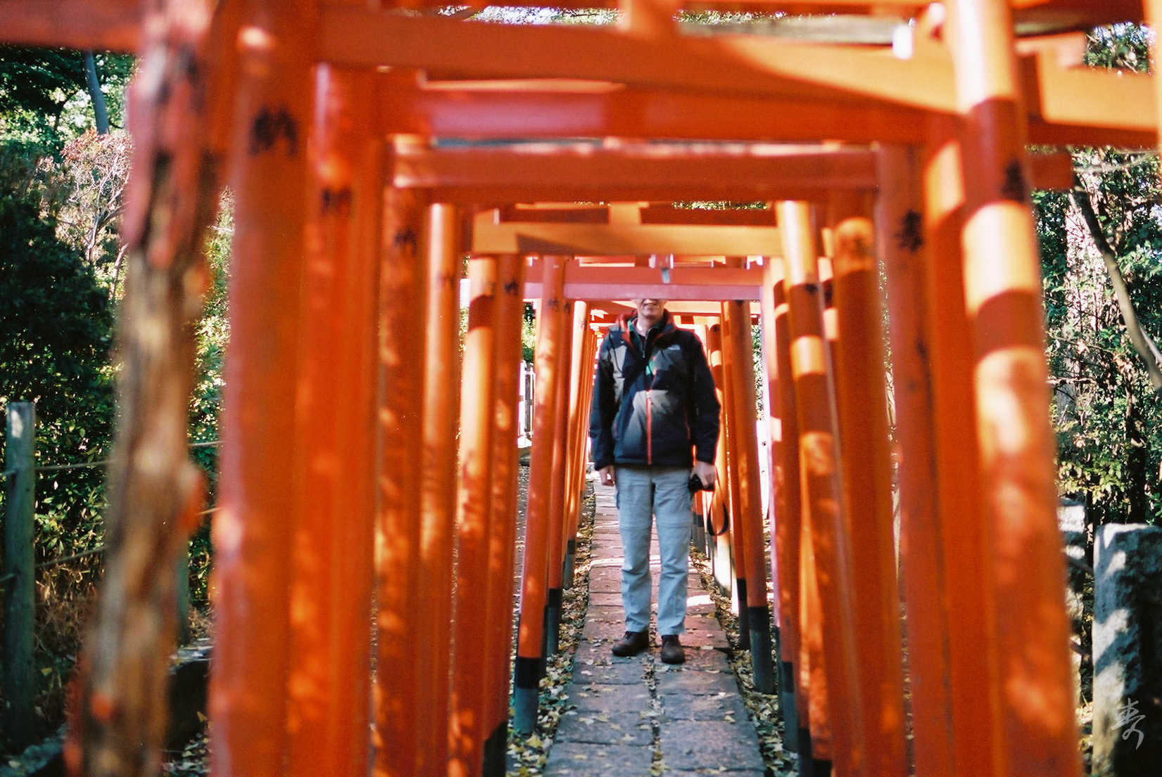 Scent Of Japan - Image 3