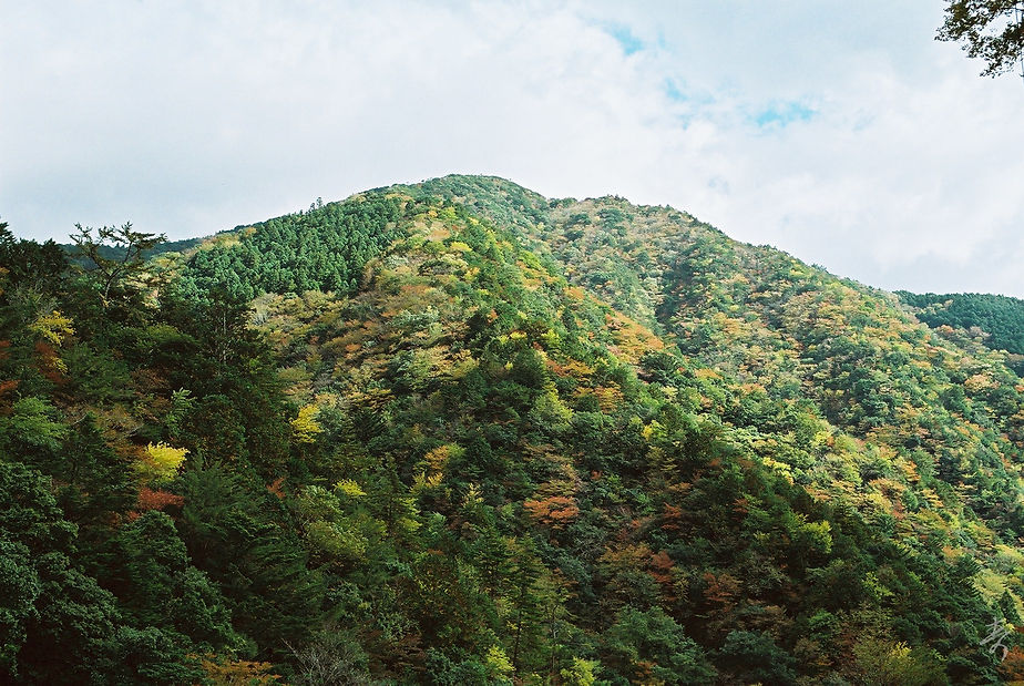 Scent Of Japan - Image 18