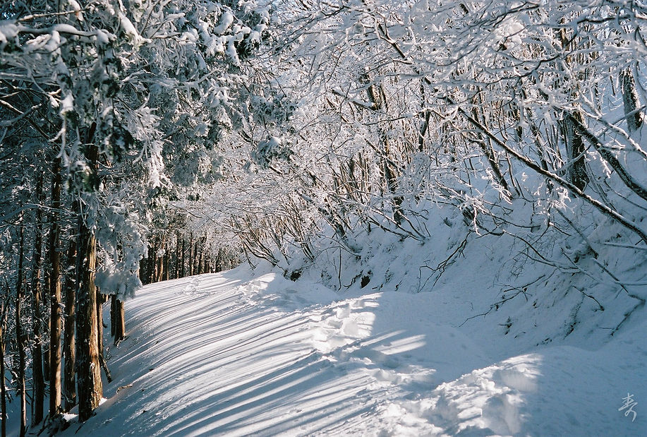 Scent Of Japan - Image 24