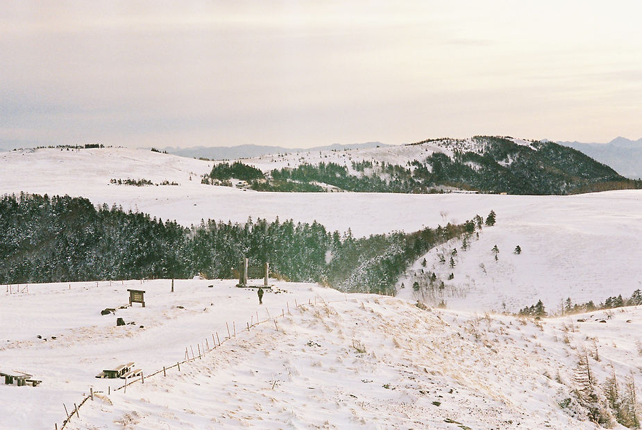 Scent Of Japan - Image 29