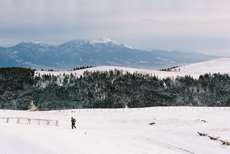 Scent Of Japan - Image 30