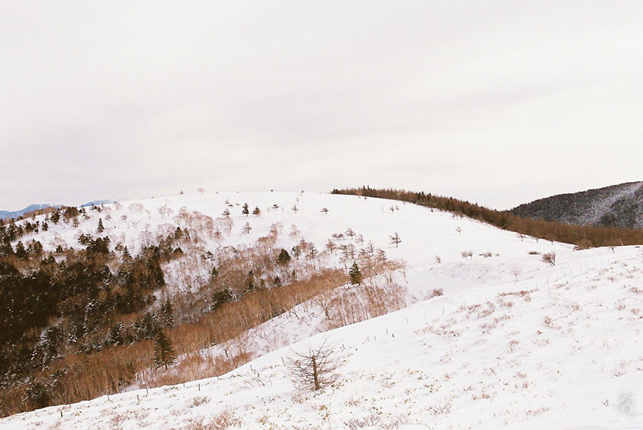 Scent Of Japan - Image 32