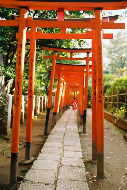 Scent Of Japan - Image 55