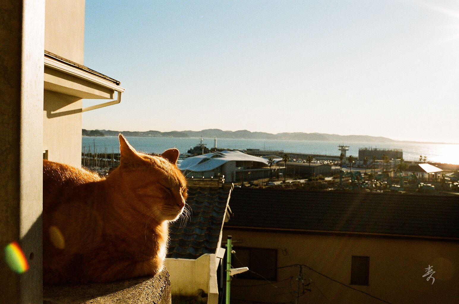 Scent Of Japan - Image 90