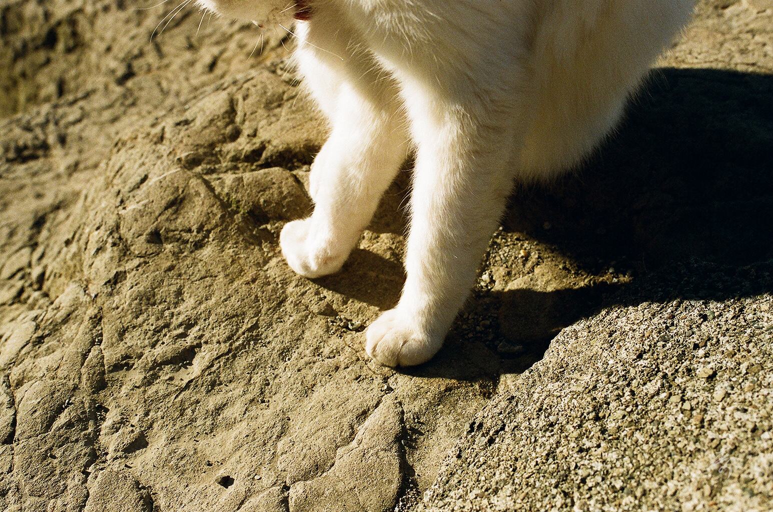 Scent Of Japan - Image 92