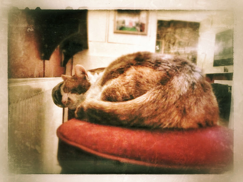 Snapshots - Image 15