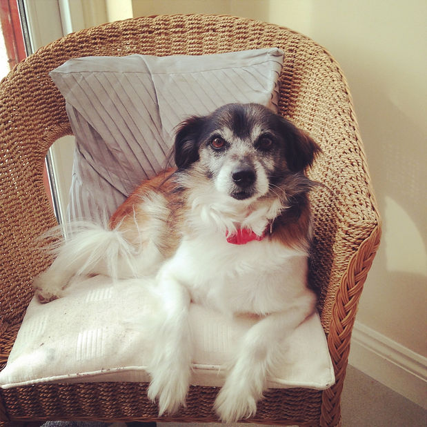 Snapshots - Image 20