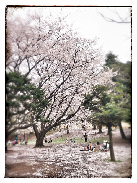 Snapshots - Image 26