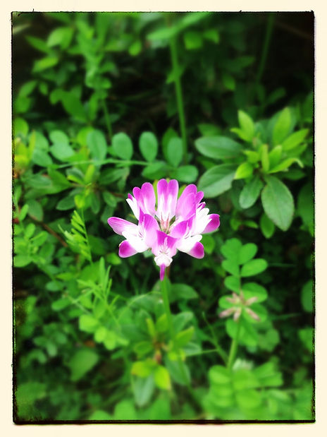 Snapshots - Image 27